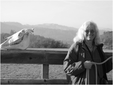 Whole Horse Training reflects Nancy Camp’s desire to improve the quality of life for animals by teaching mindful regard and training based in trust motivated partnership.